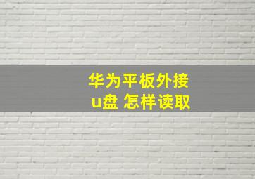 华为平板外接u盘 怎样读取